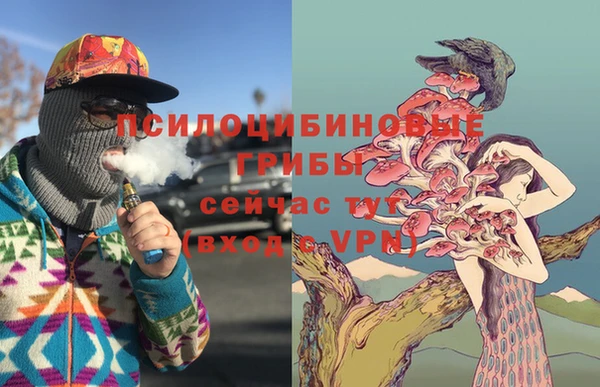 jwh Верхний Тагил