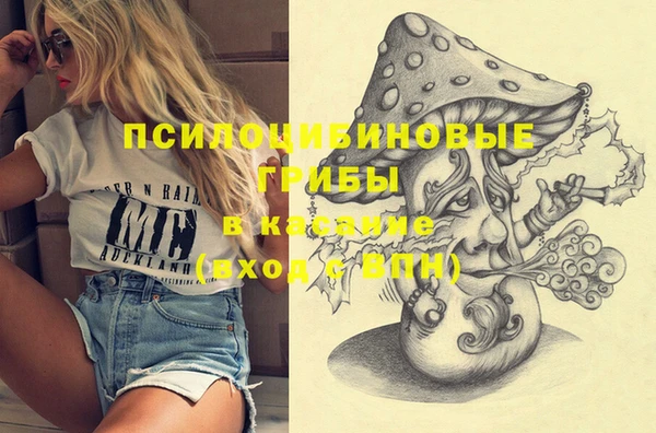 jwh Верхний Тагил